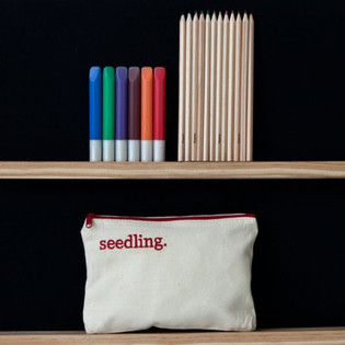 SEEDLING - DISEÑA TU PROPIO ESTUCHE (1 ud.)